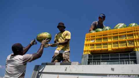 African immigrants employed in the harvest of watermelons in Calabria during one of the
hottest summers in history, Italy, August 13, 2022 | Photo: picture alliance