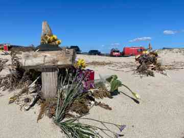 File photo: Crosses and flowers in memory of the victims of the Cutro shipwreck | Photo: ARCHIVE/ANSA/FRANCESCO CERAUDO
