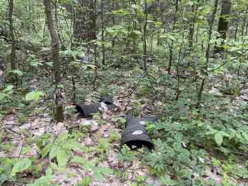 The traces of migrants that have passed through Poland's Bialowieza forest along the border with Belarus | Photo: Marlène Panara/InfoMigrants