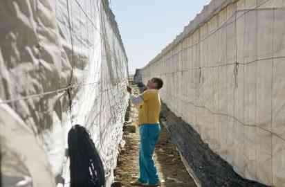 A foreign worker on a farm, in southern Spain | Photo: Picture Alliance / Hollandse Hoogte