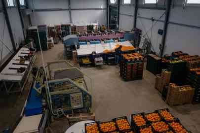 
The SOS Rosarno association's warehouse where migrant workers pack fruit harvested from the fields |  Photo: Valentina Camu / InfoMigrants