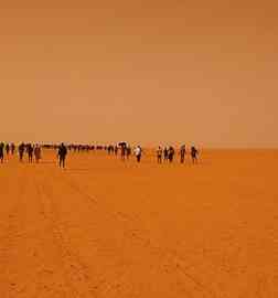 Migrants abandoned in the Sahara desert | Photo: Sylla Ibrahima Sory
