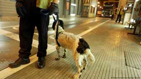 In 2019, the death of Vietnamese migrants smuggled in a truck drew attention to a wider human trafficking problem | Photo: Gareth Fuller/empics/picture alliance