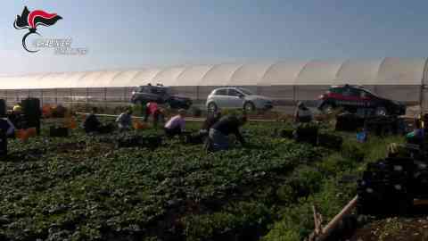 Photo: Images from the police operation against the exploitation of farmworkers near Verona | Photo: ARCHIVIO/ANSA/UFFICIO STAMPA CARABINIERI FIRENZE