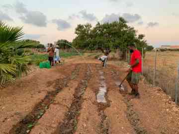 Albert and his team work on the soil and planting | Photo: Private