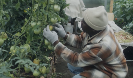 Many people migrate for seasonal work | Source: DW