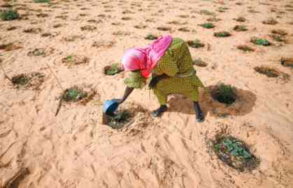 From file: A refugee from Mali waters an orchard cultivated both by displaced people and local population in Ouallam, Niger | Photo: Colin Delfosse /UNHCR