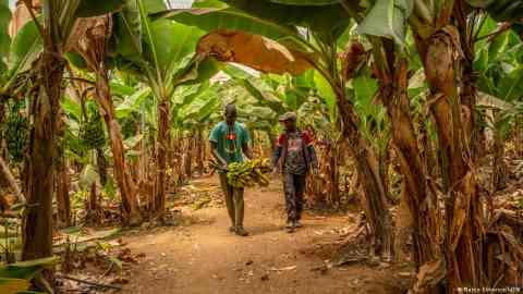 Sub-Sahara migrants in Morocco often work without visas to save up for their journey to Europe | Photo: Marco Simoncelli/DW