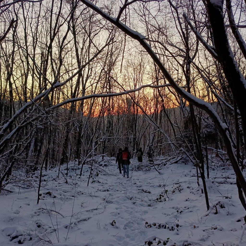 Human rights advocates have accused Bulgarian Border Police of deliberate neglect following the deaths of three Egyptian minors | Source: Photo taken from the Facebook page of Simone Zito
